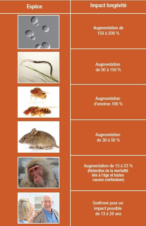 Tableau représentant l'impact de longévité