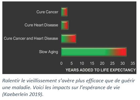 diagramme démontrant l'impact du ralentissement du vieillissement