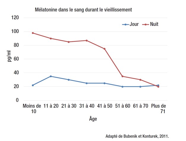mélatonine et vieillissement
